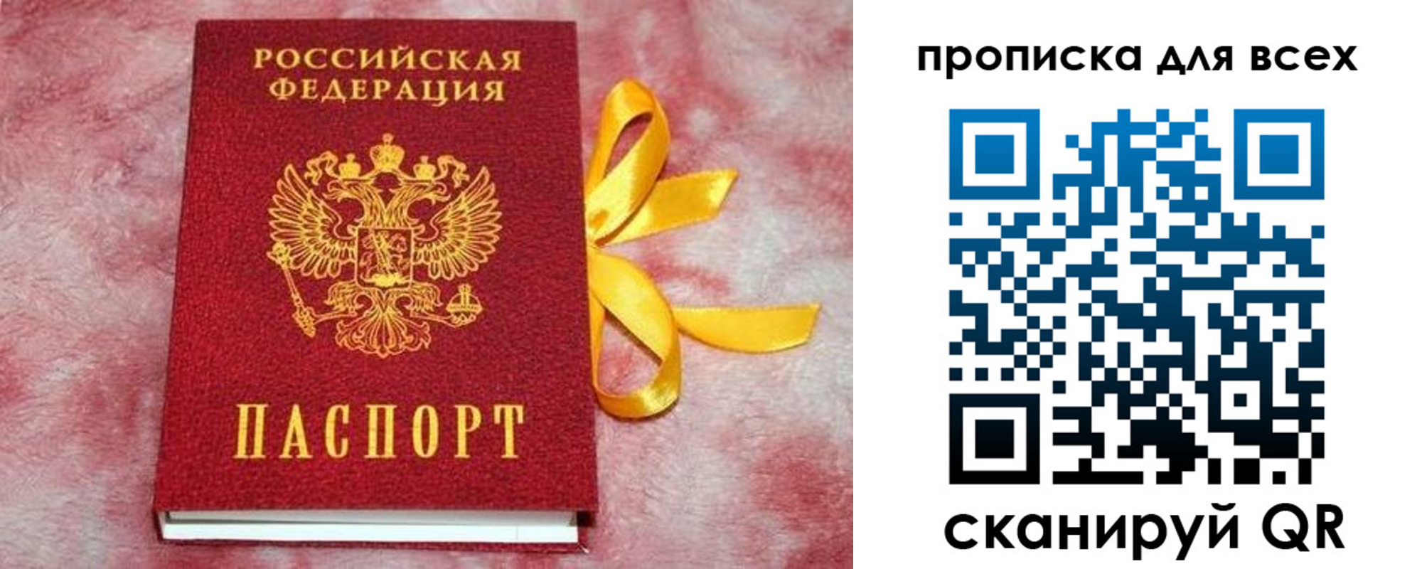 прописка для школы в Смоленске